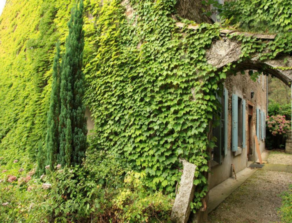Bed and Breakfast L'Affable Les Cammazes Esterno foto